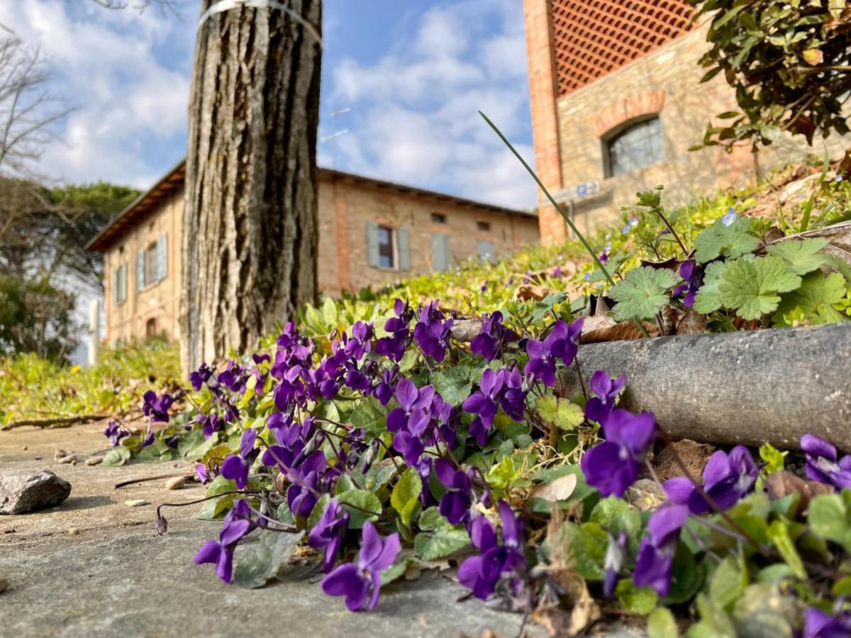 Il Cardello Locanda Casola Valsenio Eksteriør billede